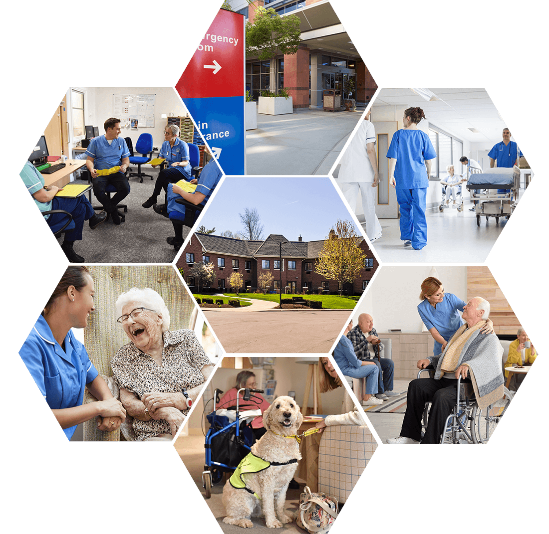 Care sector hexagon graphic